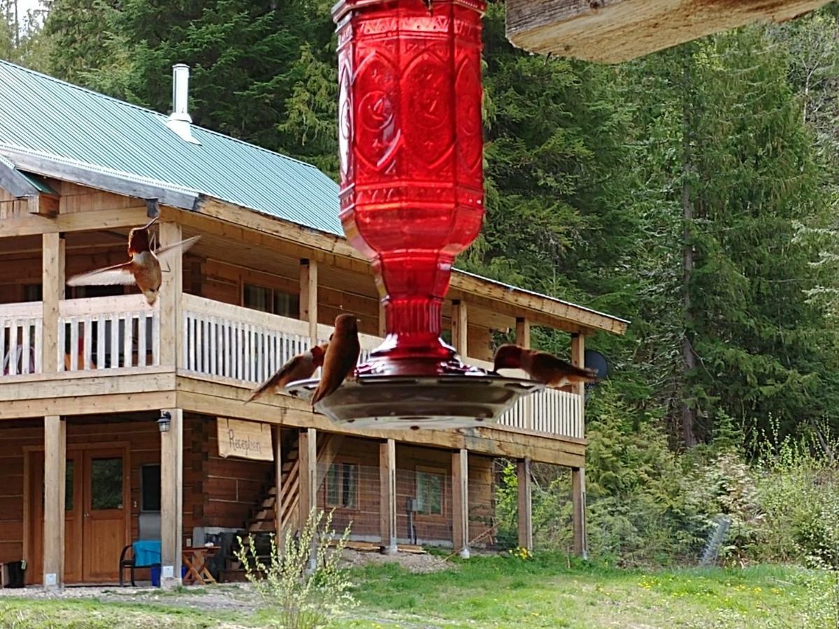 Wolfwood Guest Ranch Villa Клиъруотър Екстериор снимка