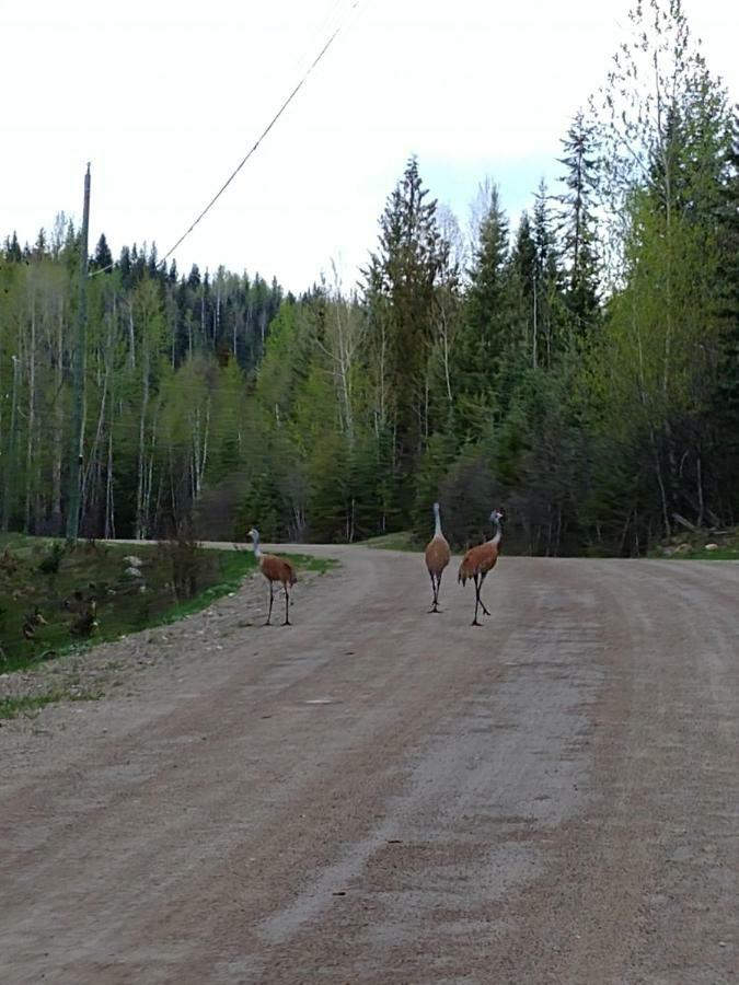 Wolfwood Guest Ranch Villa Клиъруотър Екстериор снимка